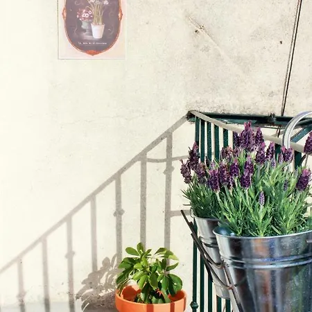 Casa Miratejo - Downtown *